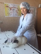 Копылова Надежда Владимировна - ветеринарный фельдшер